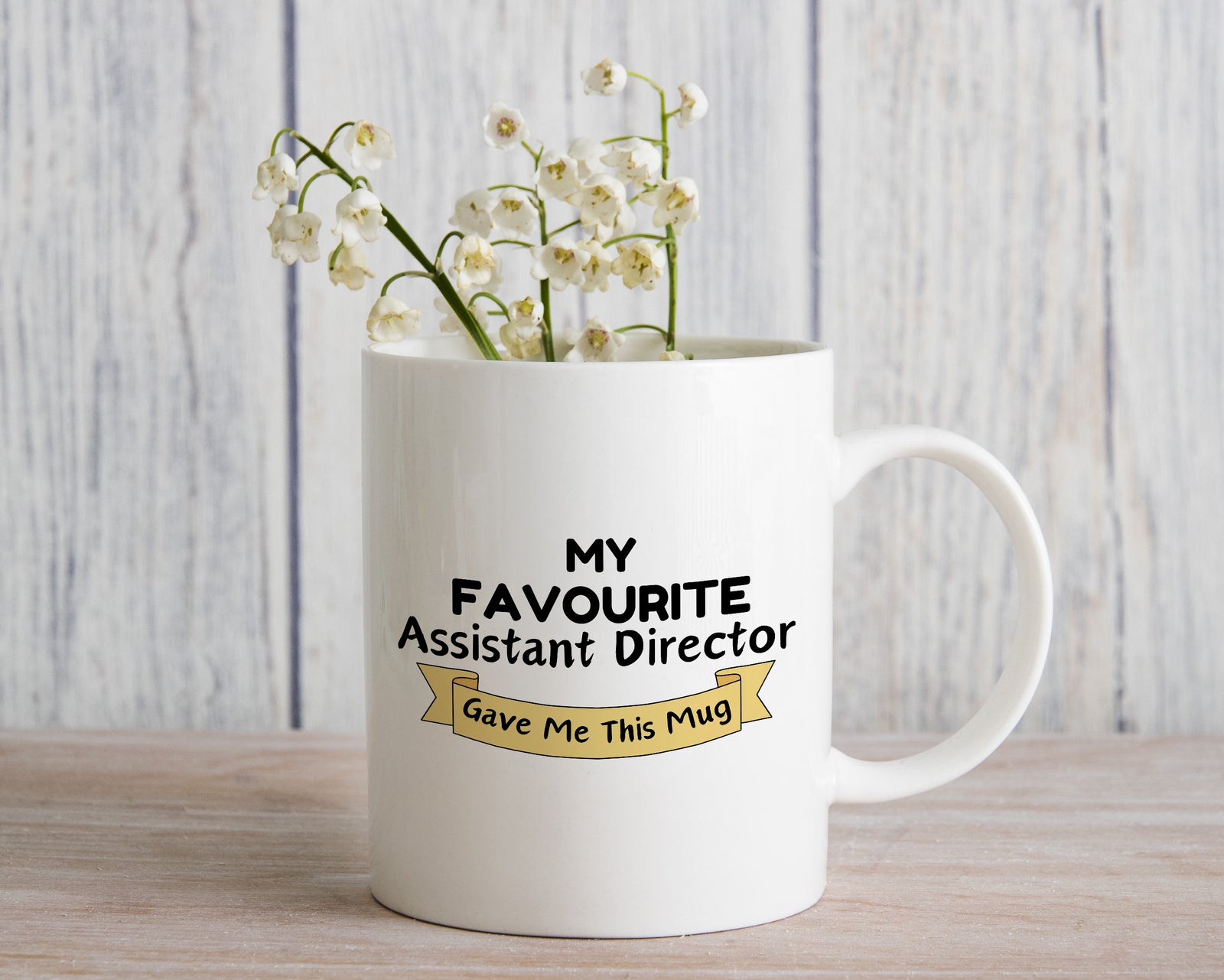 My Favourite Assistant Director Gave Me this Novelty Mug Gift Coffee Cup