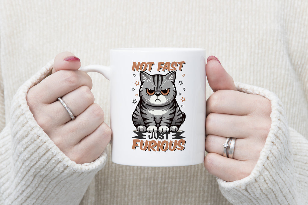 Not Fast Just Furious Cat Novelty Mug Caffeine Tea Cup