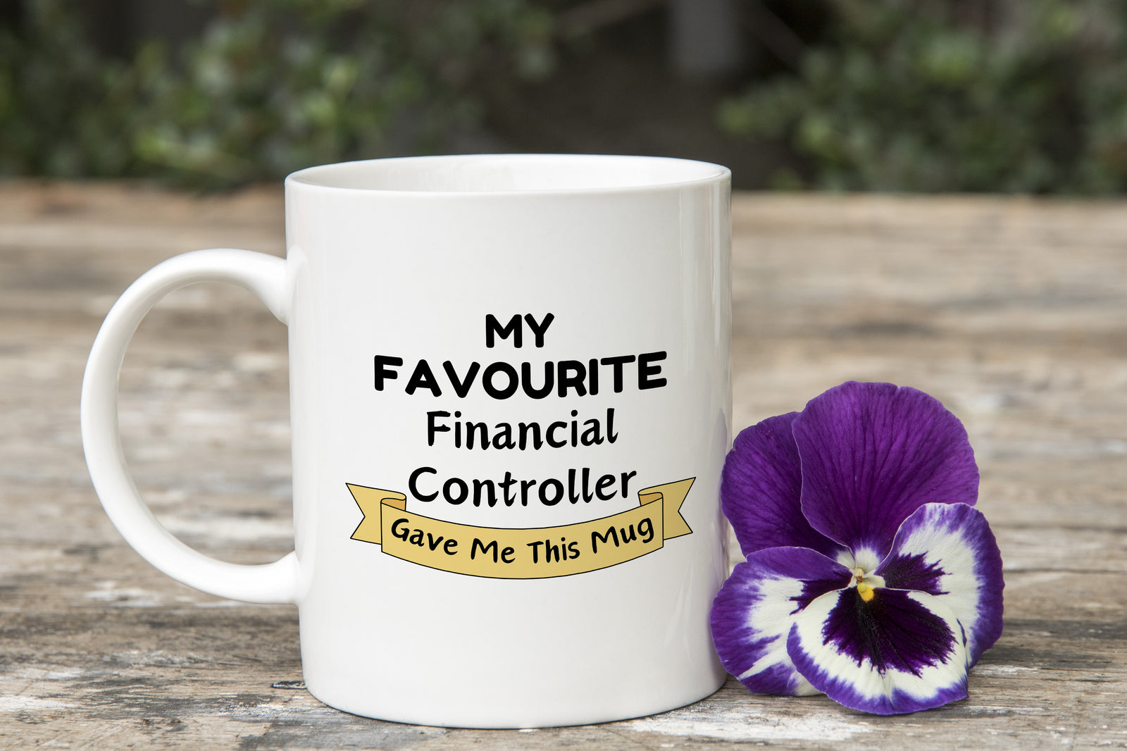 My Favourite Financial Controller Gave Me this Novelty Mug Gift Coffee Cup