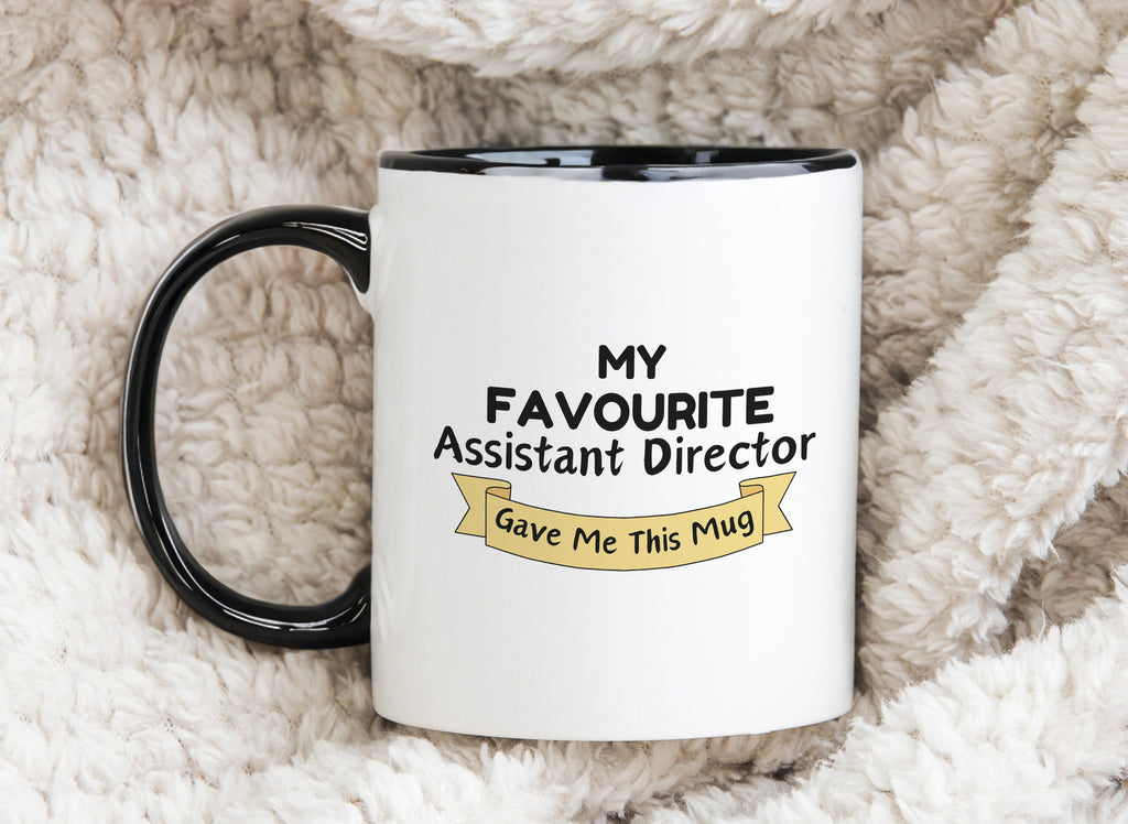 My Favourite Assistant Director Gave Me this Novelty Mug Gift Coffee Cup