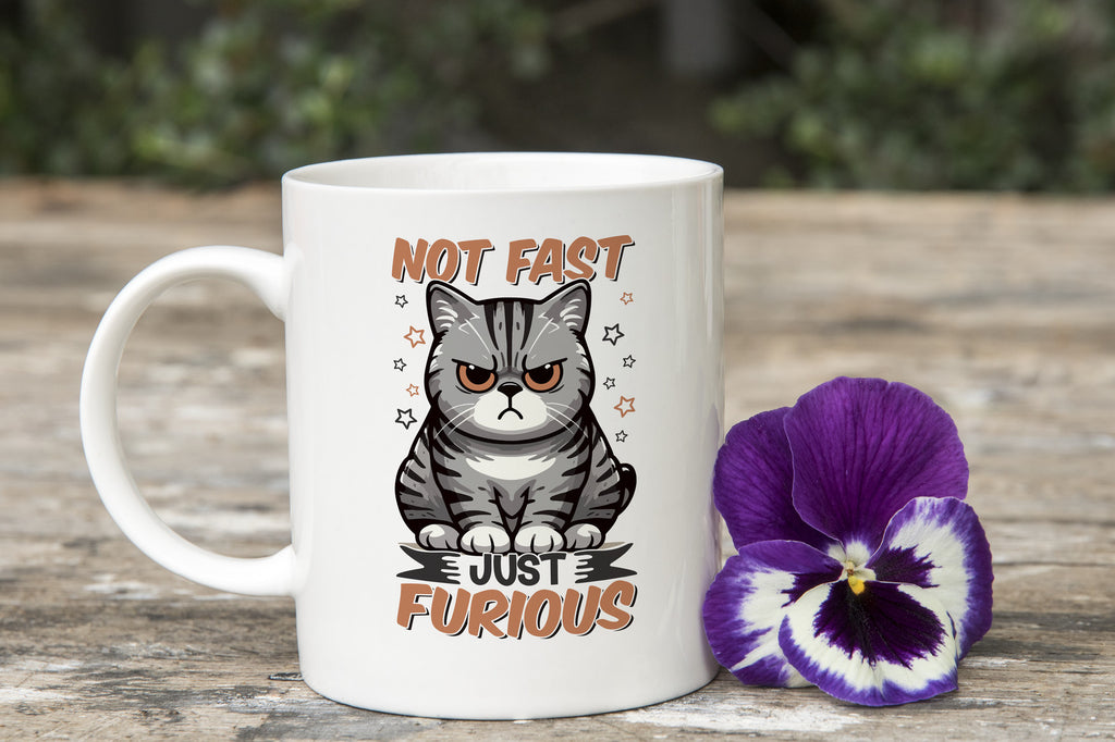 Not Fast Just Furious Cat Novelty Mug Caffeine Tea Cup