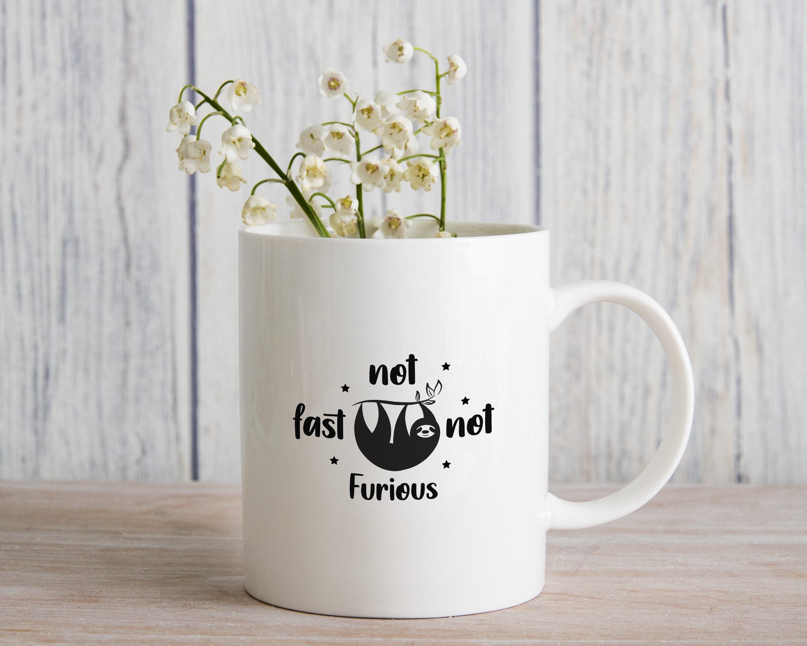 Sloth Not Fast Not Furious Coffee Cup Funny Novelty Mug Gift