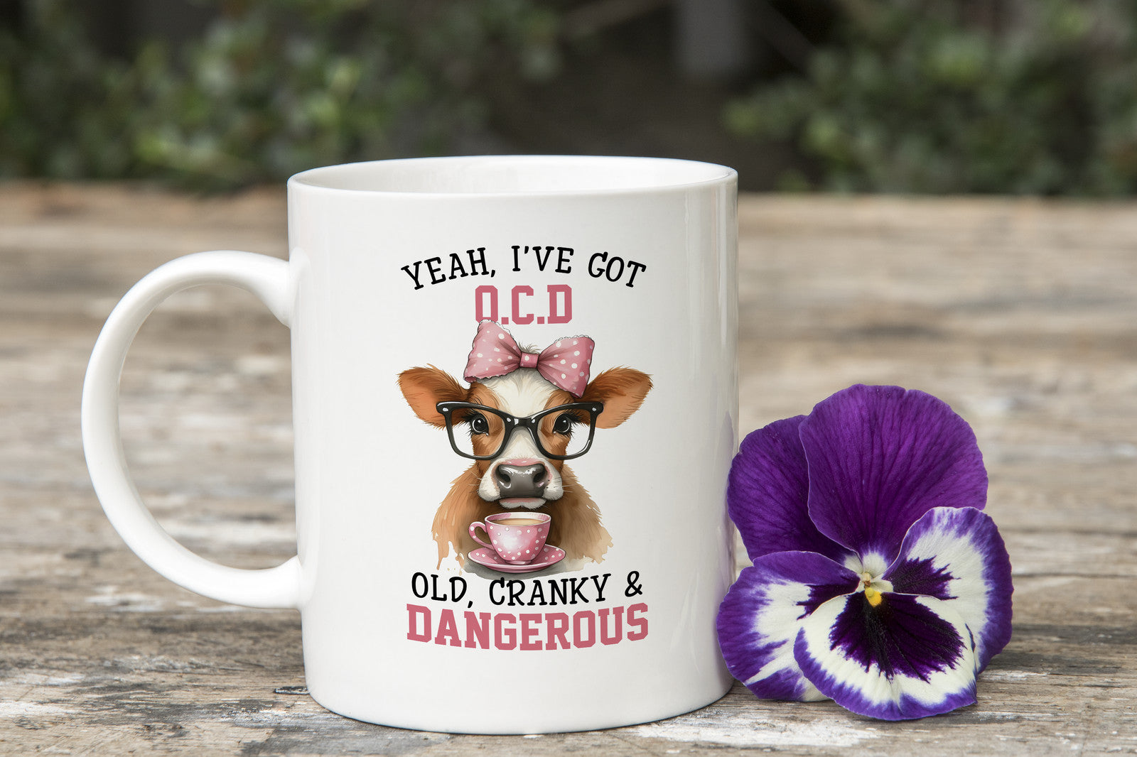 Cranky Old Grandma Lady Novelty Mug Sarcastic Coffee
