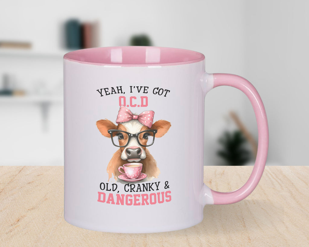 Cranky Old Grandma Lady Novelty Mug Sarcastic Coffee