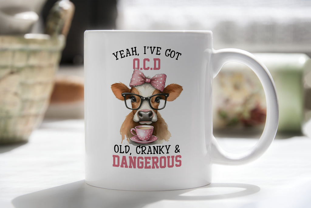 Cranky Old Grandma Lady Novelty Mug Sarcastic Coffee