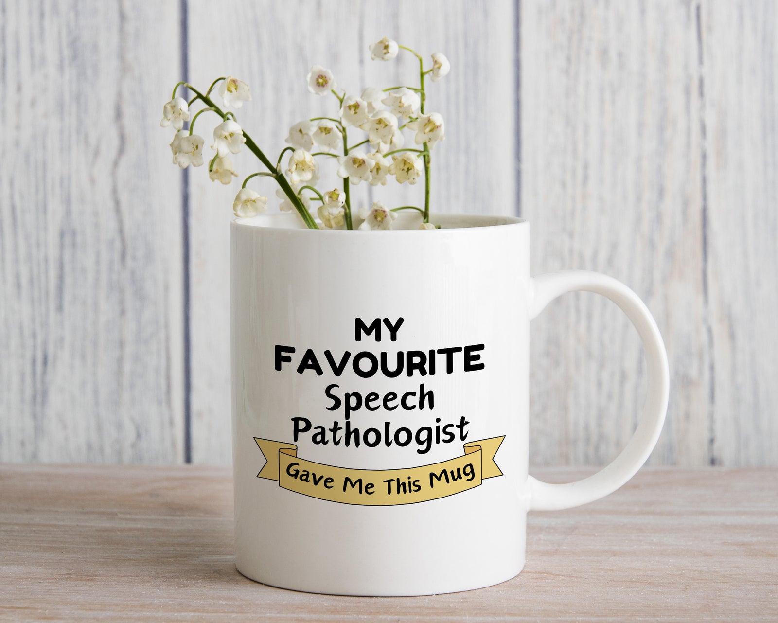 My Favourite Speech Pathologist Gave Me this Novelty Mug Gift Coffee Cup