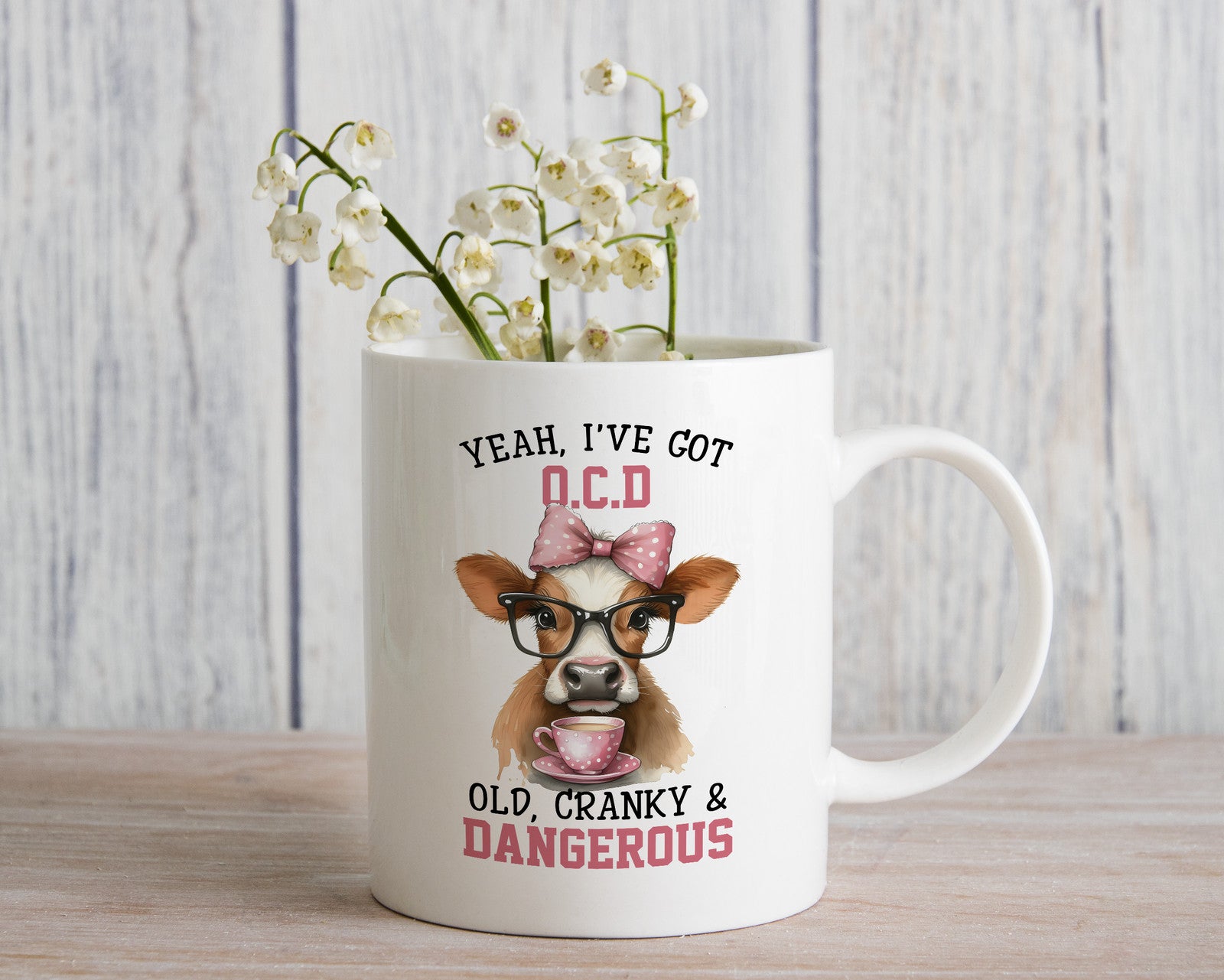 Cranky Old Grandma Lady Novelty Mug Sarcastic Coffee