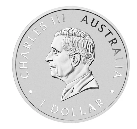 2024 Australian Brumby 1oz Silver Coloured Coin - In Hand