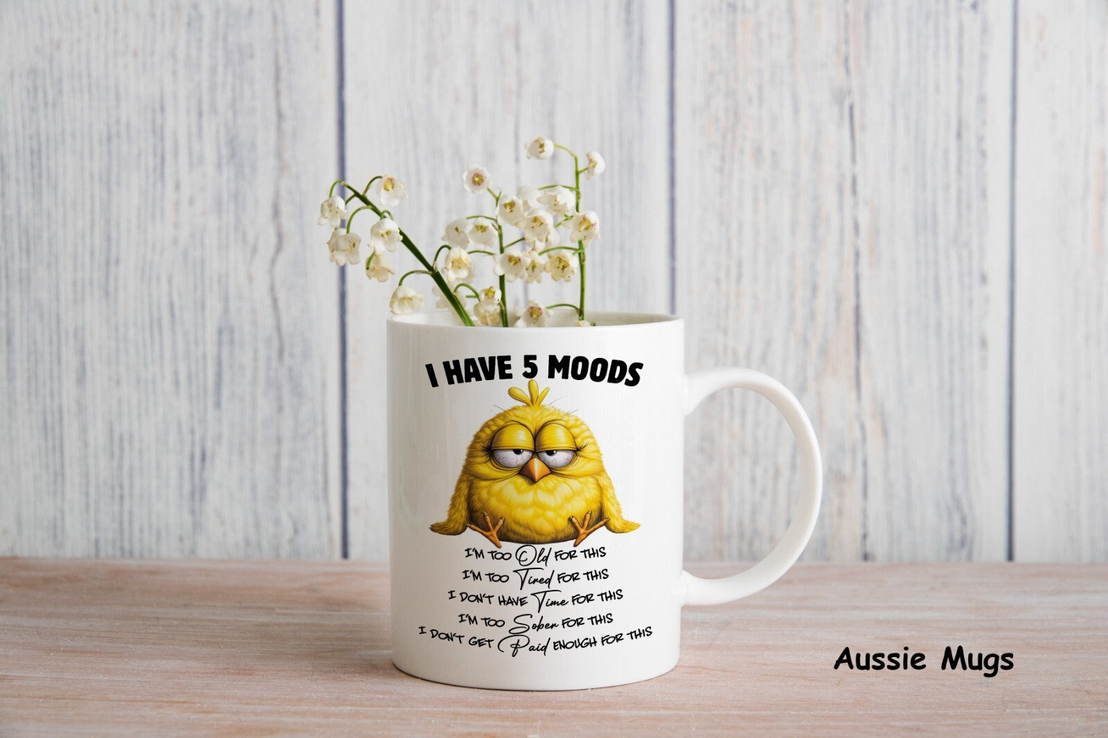 5 Moods Moody Novelty mug gift