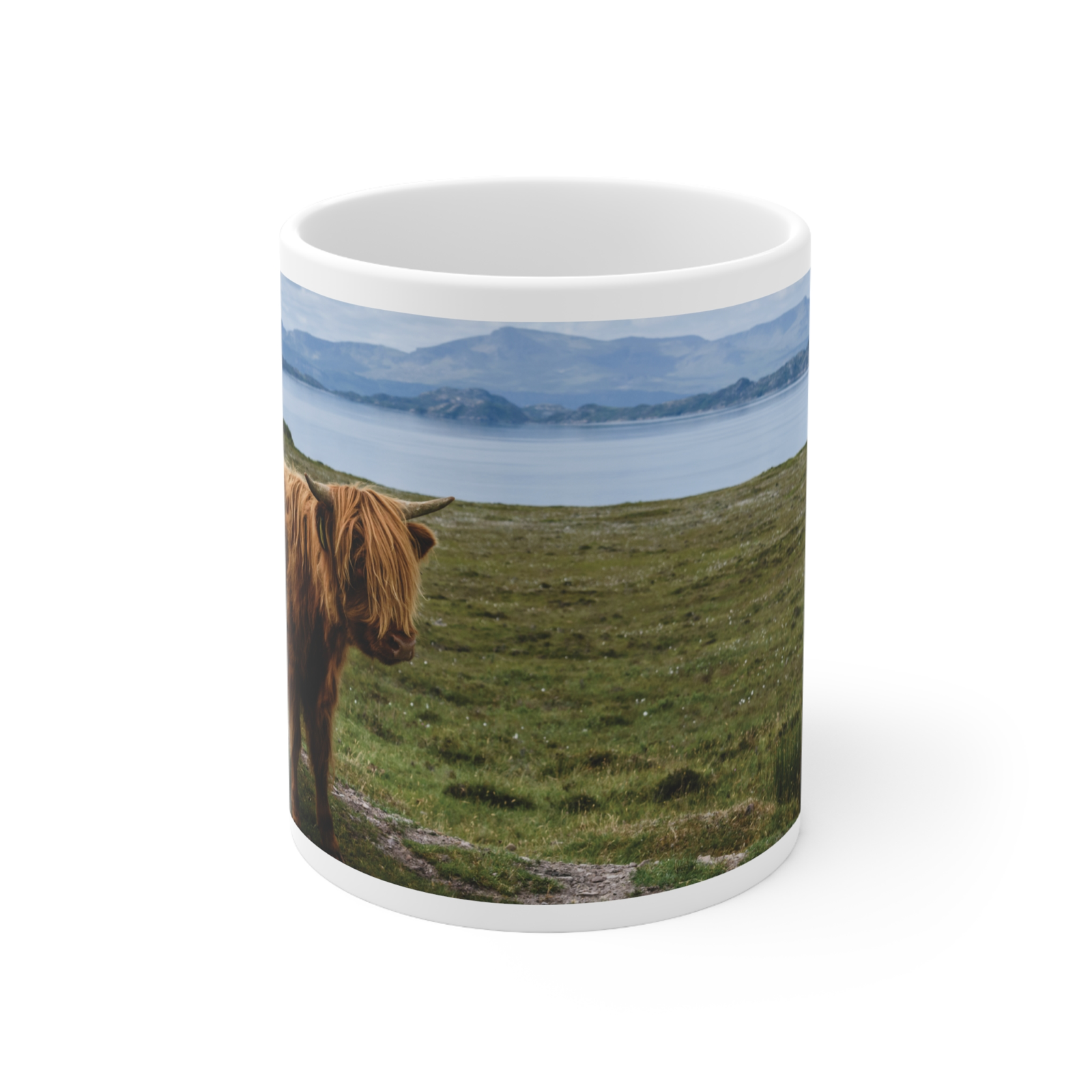 Highland Coo photograph wrap around mug Scottish cow