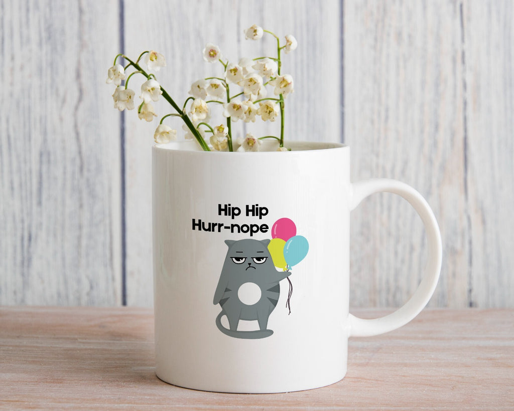 Grumpy Birthday Cat Novelty Mug Gift Coffee Cup