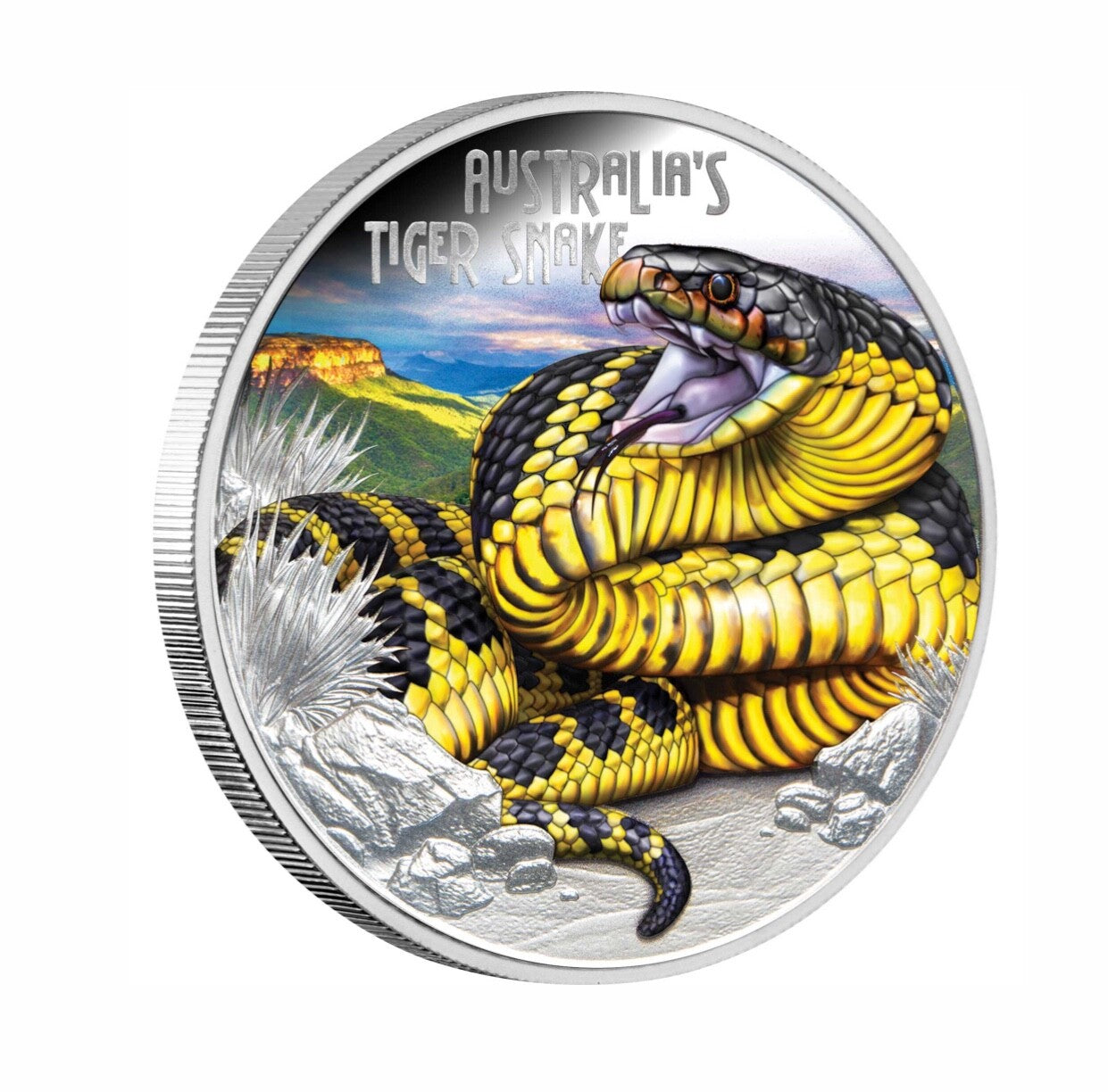 2025 Deadly & Dangerous Tiger Snake 1oz Silver Proof Coin In Hand