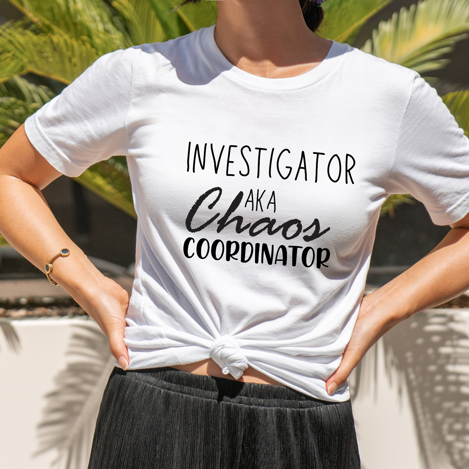 Novelty T-Shirt Chaos Coordinator Funny Shirts investigator