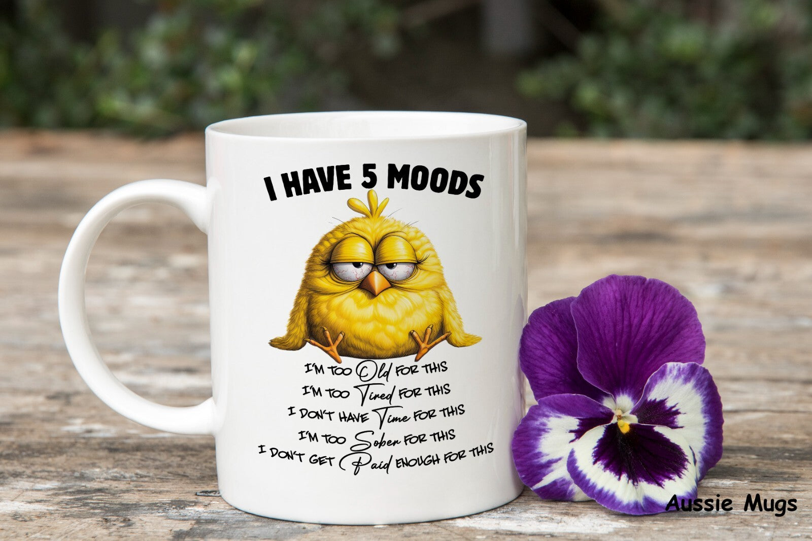 5 Moods Moody Novelty mug gift