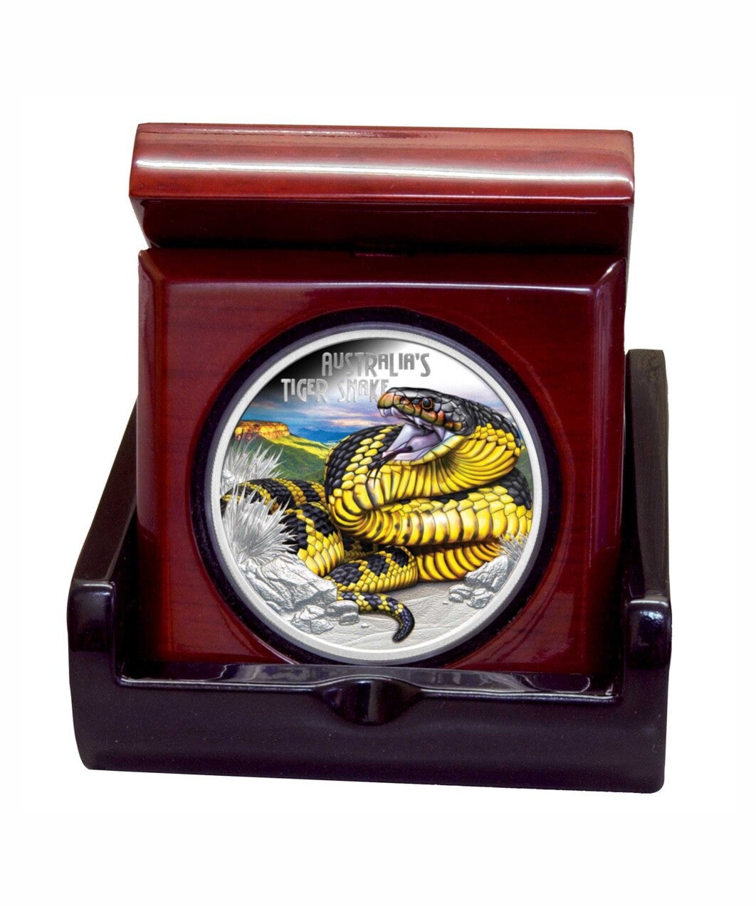 2025 Deadly & Dangerous Tiger Snake 1oz Silver Proof Coin In Hand