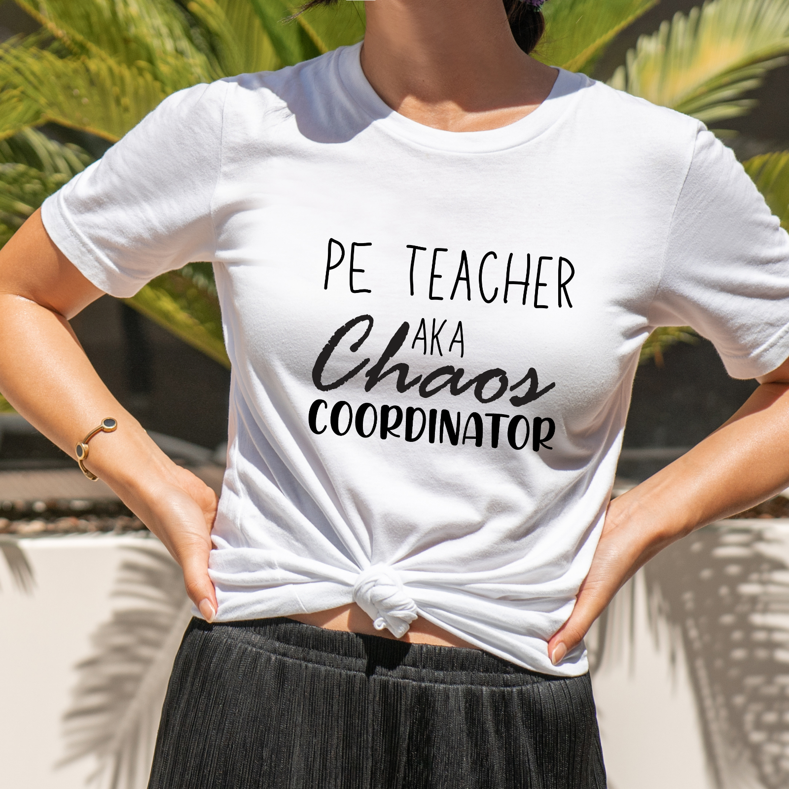 Novelty T-Shirt Chaos Coordinator Funny Shirts PE Teacher